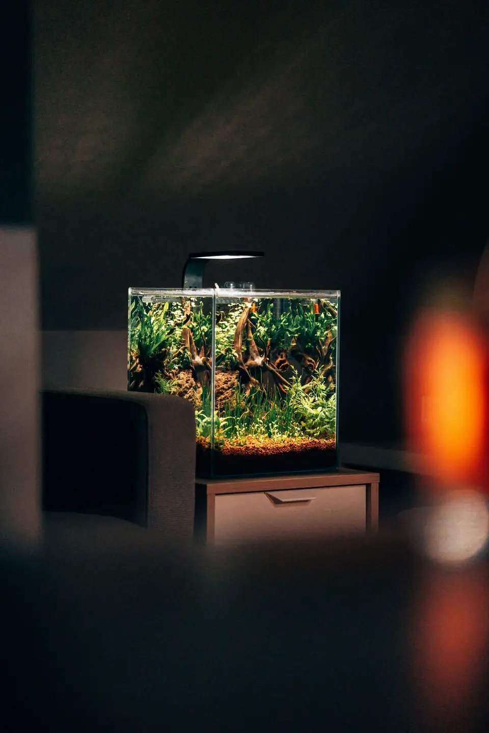 Cube aquarium on a side table