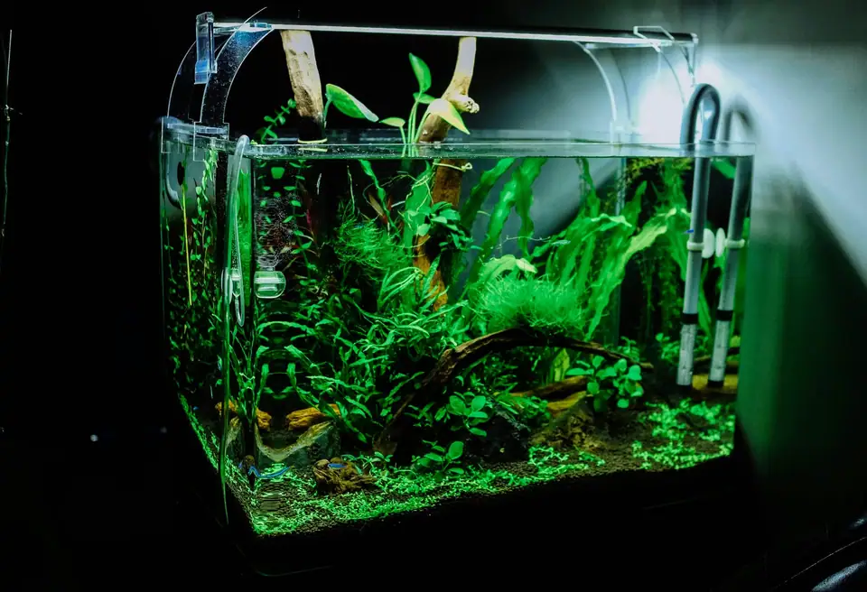 A small rimless planted aquarium with a hang-on filter and a clip-on light